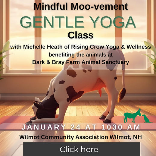 Mindful Moo-vement (1)_edited.jpg