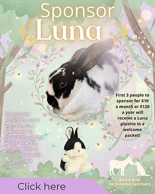 Sponsor luna (2)_edited.jpg