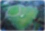 Holland Sports