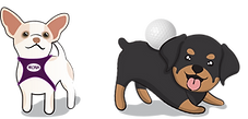 Gm_mascot.png