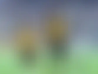 Pele 1970 Brazil Soccer Jersey