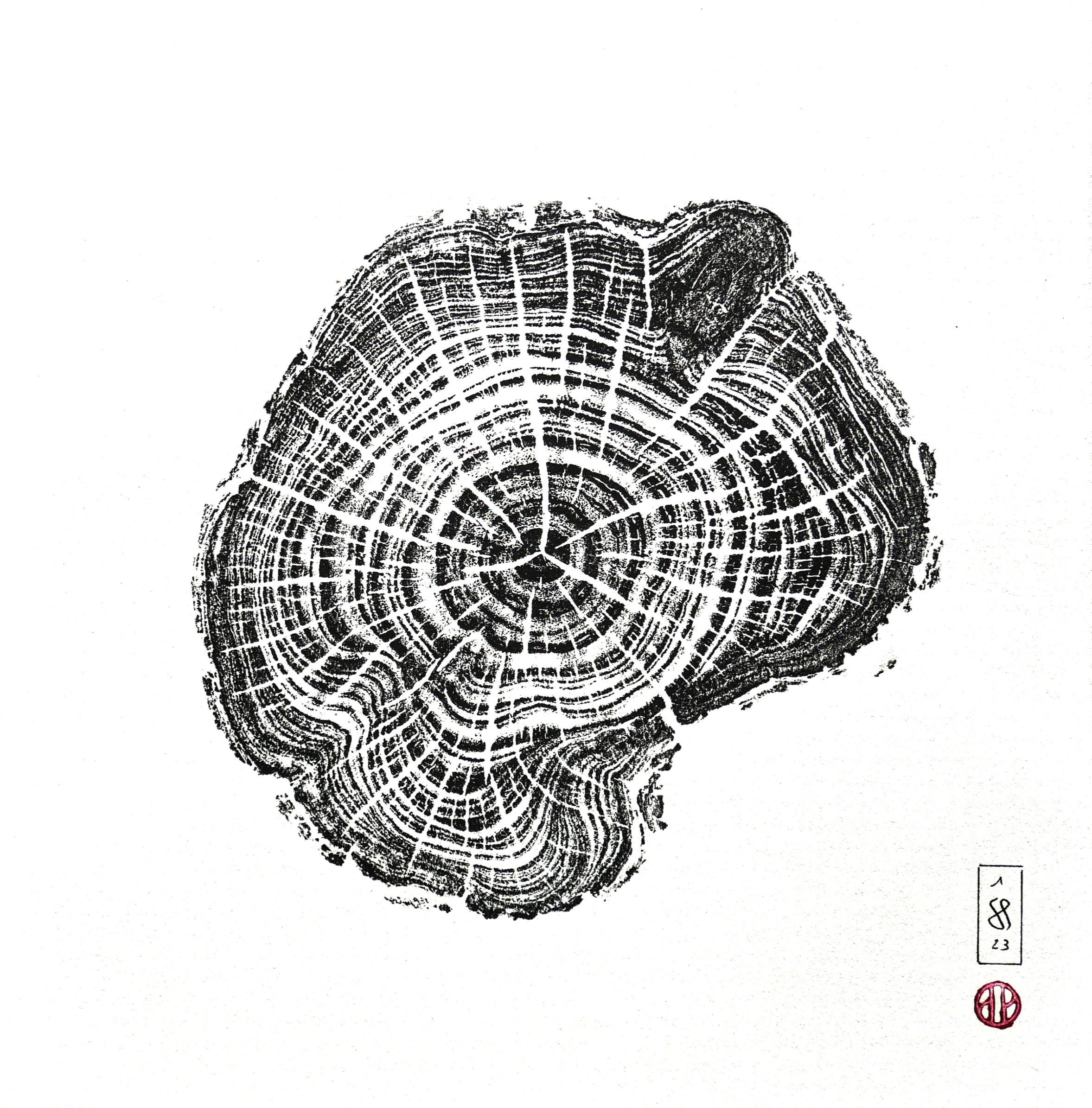 Estampe Cyprès - 30x30cm