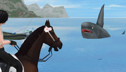 Das ist Shark-tastisch