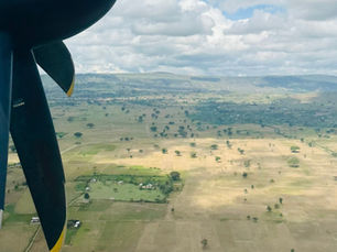 A Deputy CEO’s Insight on the pre-harvesting preparations and ongoing projects: From Kenean Dukamo.