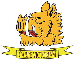 crest white.jpg