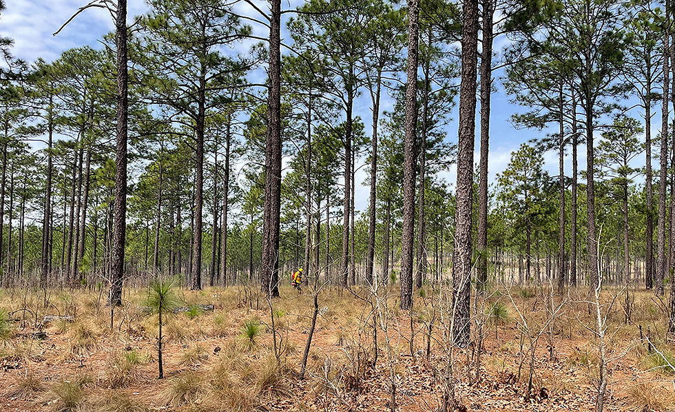 Piedmont Forest Landowners’ Summit