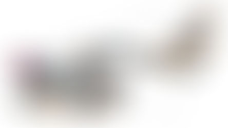 گفتاری از کارنما: شادی بیطرف دربارهی دیوارنوشتههای جنبش «زن، زندگی، آزادی»