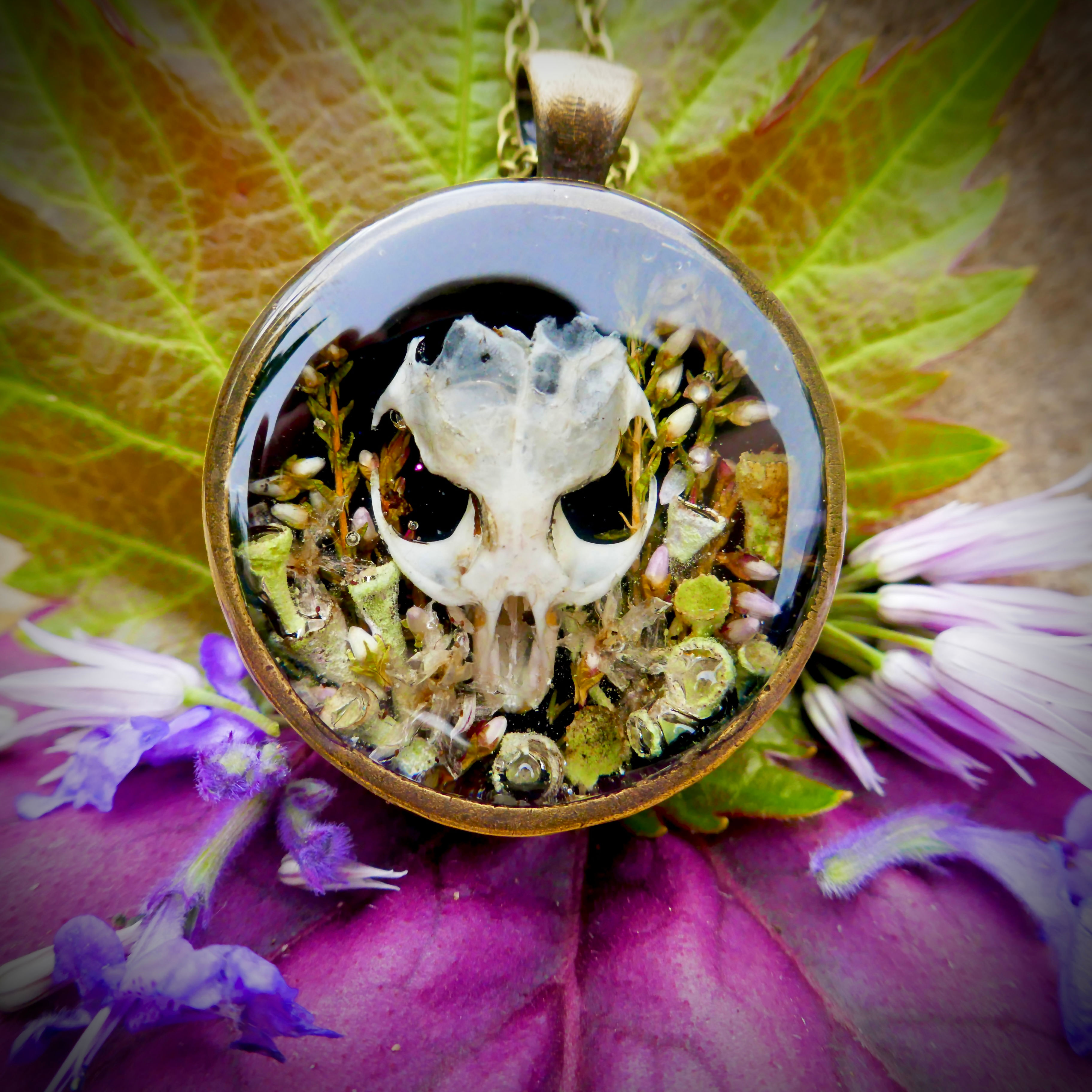Echoes of the Hollow Amulett