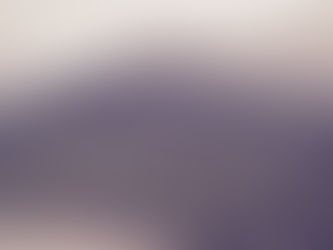 争いのない勉強