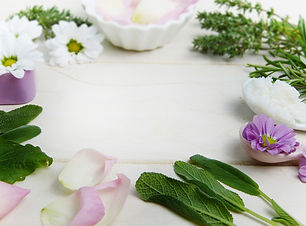 phyto2.jpg