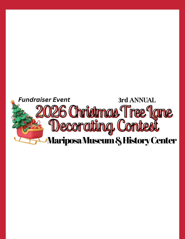 2026 Christmas Tree Lane Contest