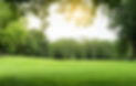 AdobeStock_289102389.jpeg