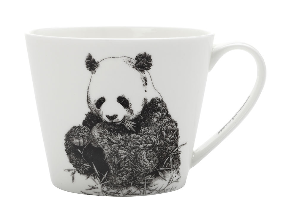 Thumbnail: Ferlazzo MUG