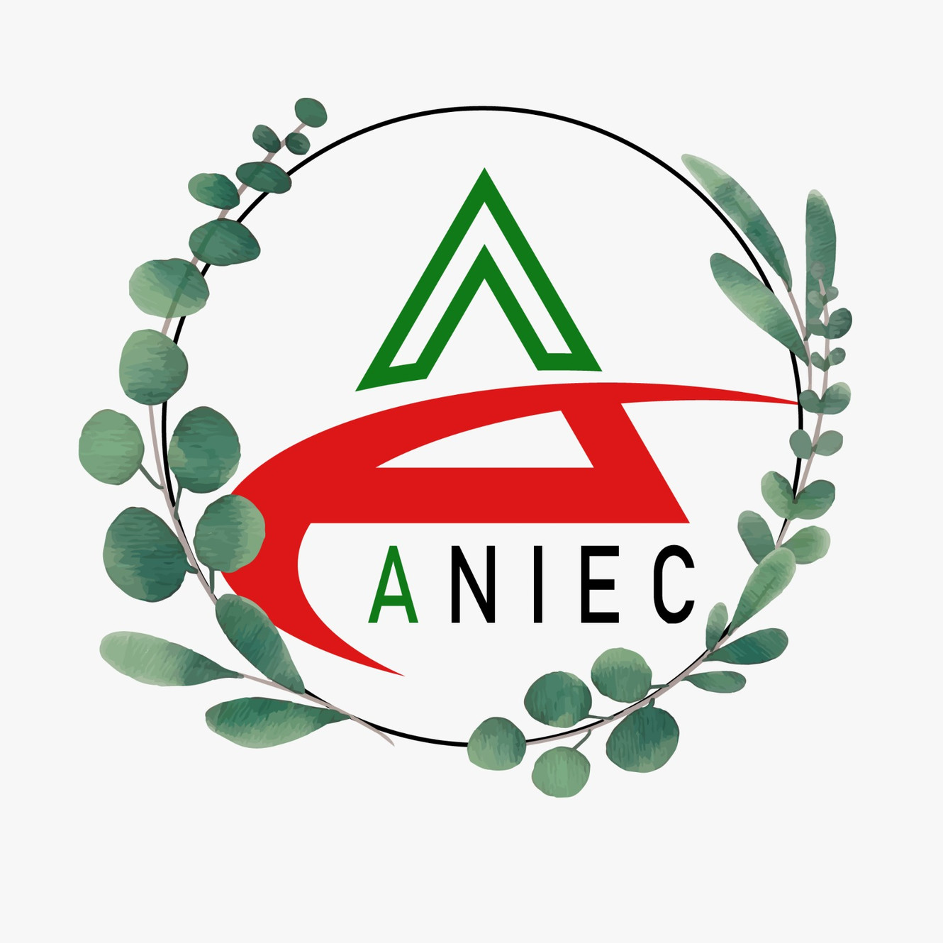 Guide Aniec