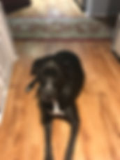 Lulu