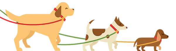 W4Paws Dog Walking & Pet Sitting London W4 Chiswick