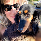 W4Paws Dog Walking & Pet Sitting London W4 Chiswick