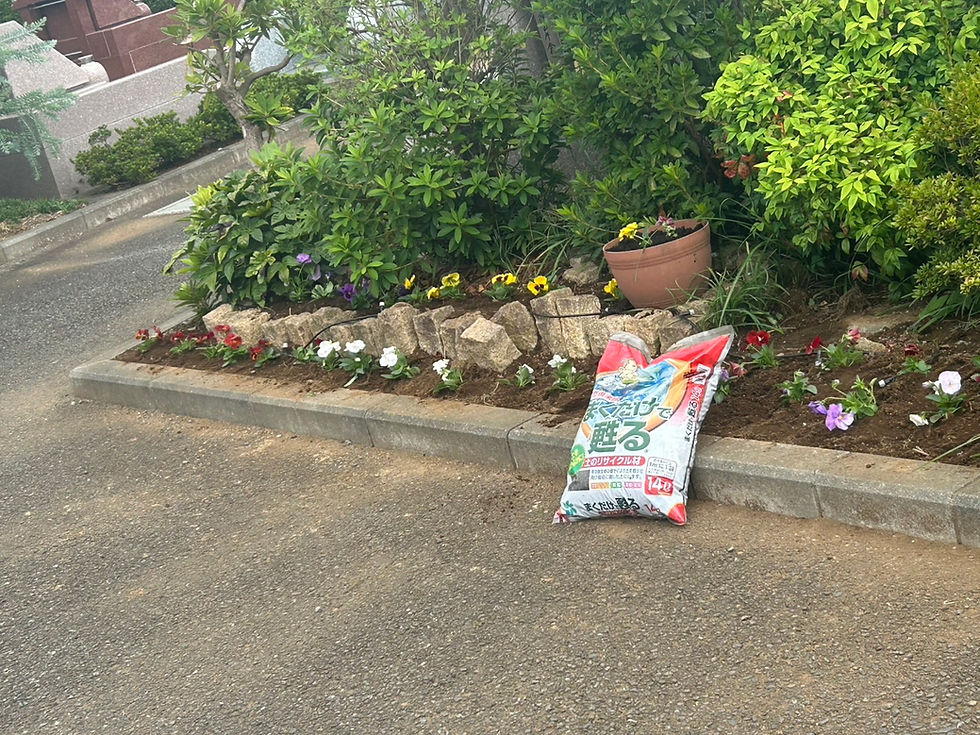お花の植えかえ