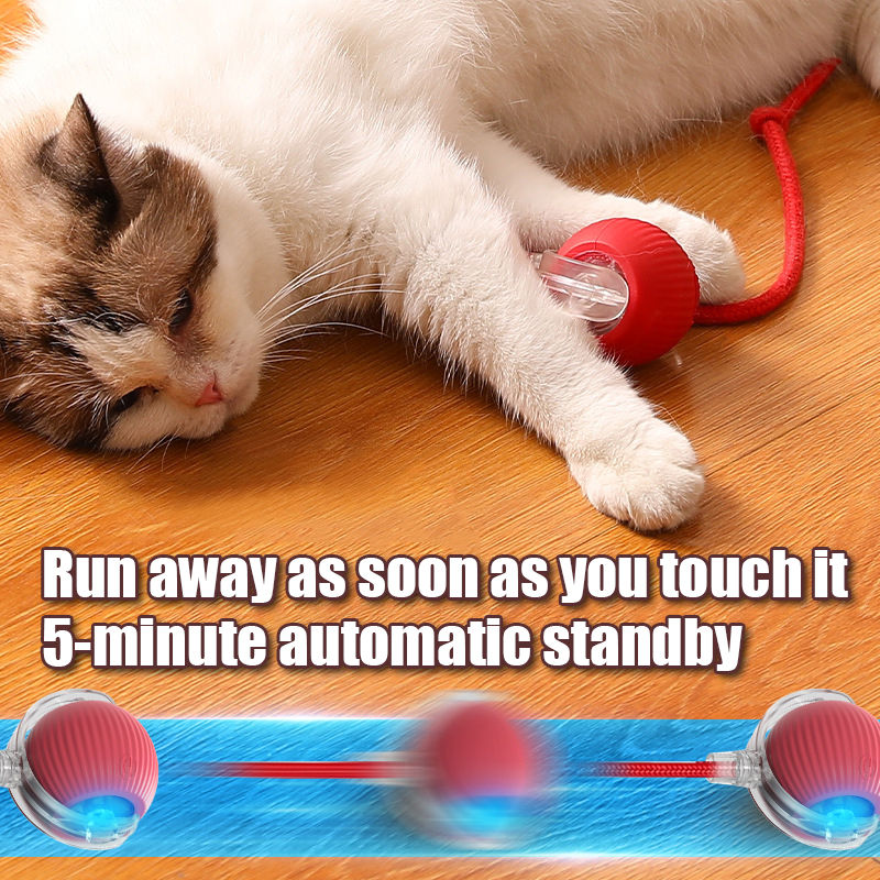 Miniatura: SpinCat Ball