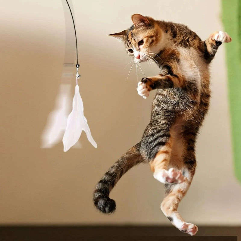 Miniatura: Gato malhado pulando para pegar brinquedo de penas