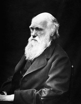 charles-robert-darwin-62911__340