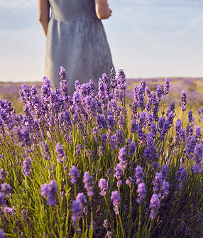 cropped-shot-of-unecognizable-woman-in-dress-standing-in-the-middle-of-summer-meadow-among