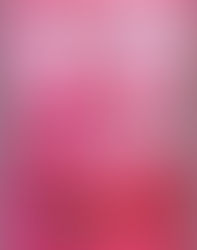 Fan Club, Erin Mayer: A Review