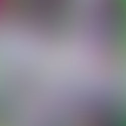 The Preserve, Ariel S Winter: A Review