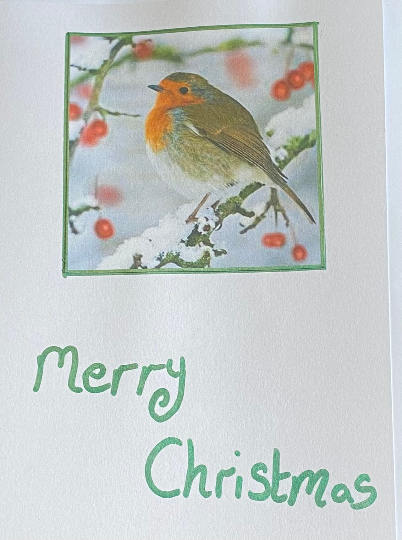 Robin Christmas cards