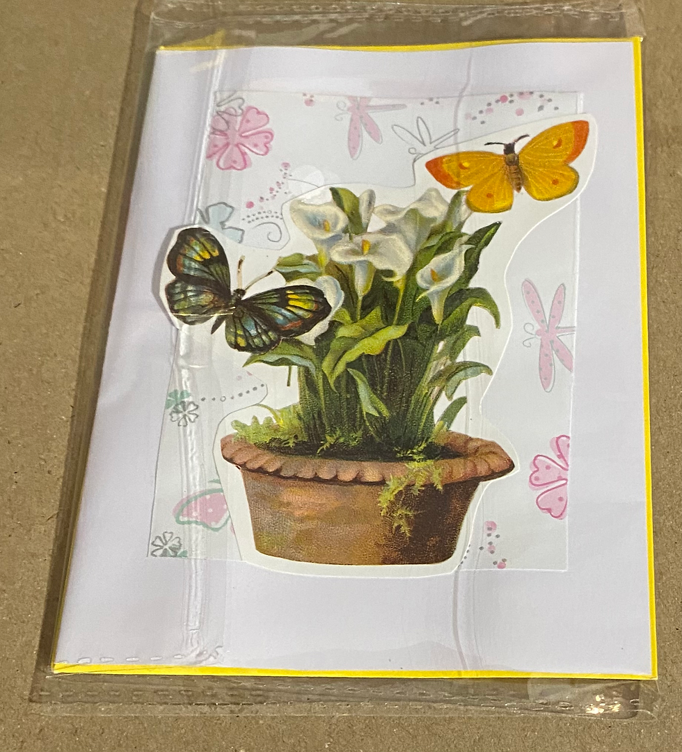 Thumbnail: Butterfly cards