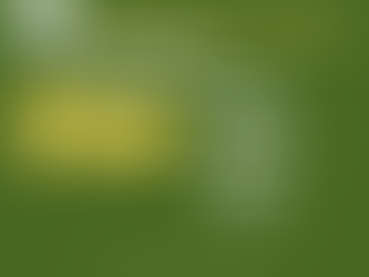 Agenda | Fim de Semana