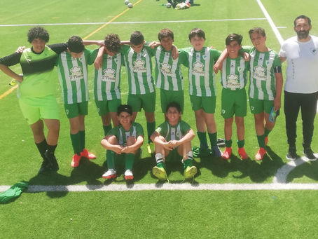 Infantis | Dragões - Lagartos (2-6)