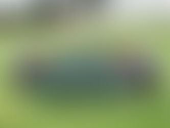 Iniciados | Dragões - Pego (2-0)