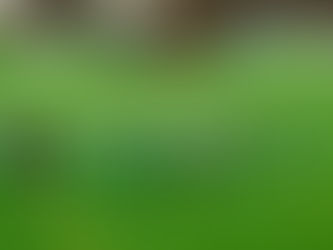 Juniores | Dragões - Amiense (1-6)