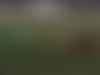 Infantis | Caxarias - Dragões (8-0)