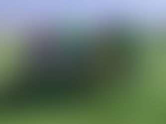 Benjamins | Dragões - Pego (10-6)