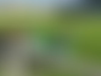 Iniciados | Dragões - Tomar (1-6)