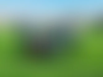 Infantis | TSU - Dragões "A" (0-8)