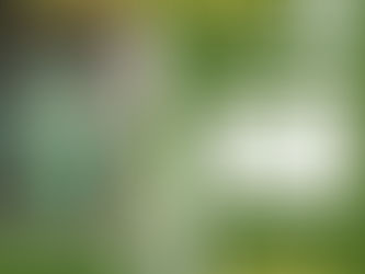 Agenda | Fim de Semana