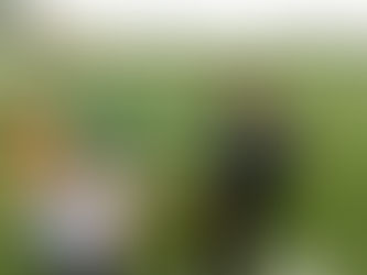 Infantis | Dragões "A" - TSU (13-0)