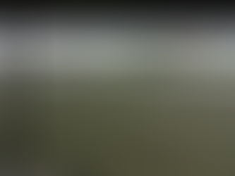 Infantis | Lagartos - Dragões "B" (28-0)