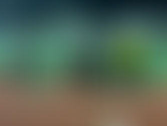 Iniciados | Tomar "B" - Dragões "A" (0-6)