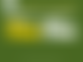 Agenda | Fim de Semana