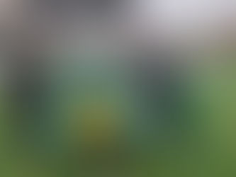 Infantis | Dragões "B" - CB Abrantes (0-10)