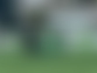 Infantis | Dragões "B" - Tomar "A" (0-21)