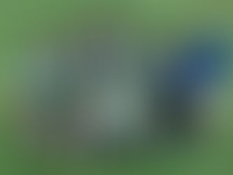 Infantis | Mação - Dragões "A" (7-4)