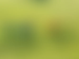 Infantis | Assentiz - Dragões (2-1)