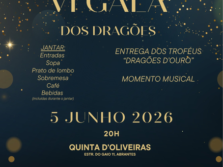 | VI Gala Dragões