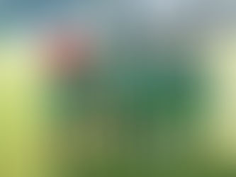 Iniciados | Dragões "A" - Torres Novas "B" (4-0)