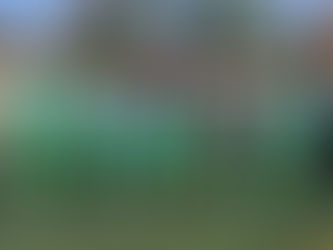 Infantis | Tomar "A" - Dragões "B" (10-0)